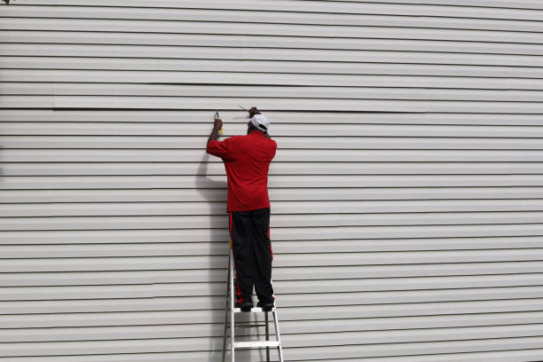 Best Steel Siding Installation  in Oak Park, IL